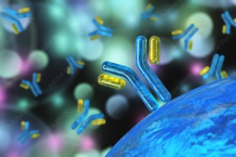 antibodies, immunoglobulins, the immune system, 3D rendering