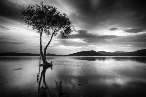 black white, lake, landscape