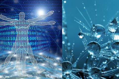 7vuQc.qR4e small Istota Instrukcja wasnej mo