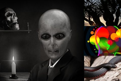 X0QMc.qR4e small ISTOTA NIE MA PRZYPADKW NEP