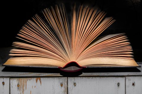 xouWc.qR4e small ISTOTA ANDRZEJ POTOMEK ZYGM